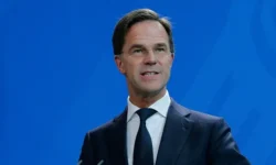 rutte Fy73 cover.jpg