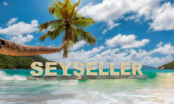 Seyseller