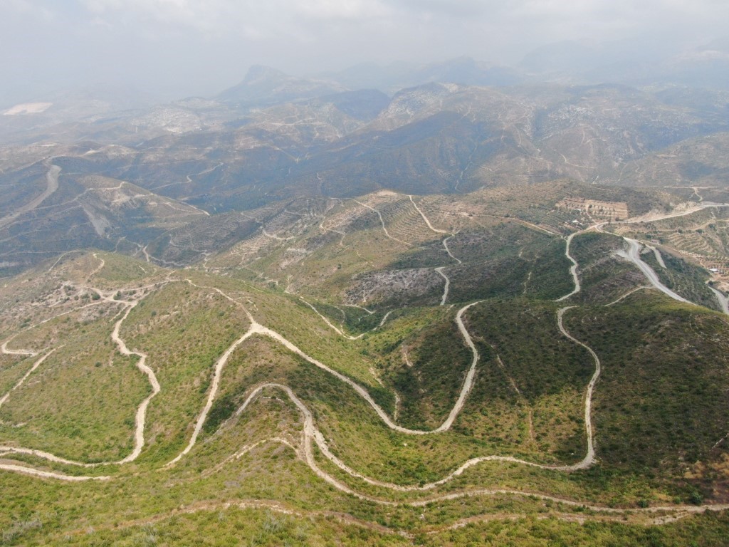 orman yangini sonrasi