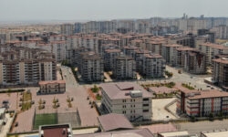 e devlet