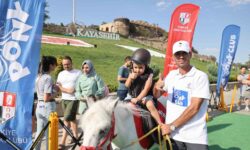 kayasehir ponny