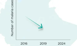 sh malaria outbreak threatens progress against malaria in ethiopia graphics graph 2m 750x1333 1